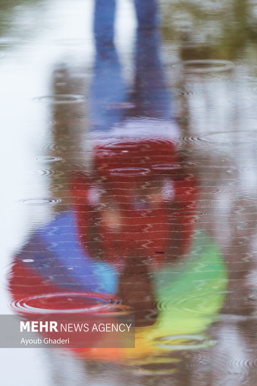 تصاویر: اولین باران زمستانی و طراوت بهاری کیش