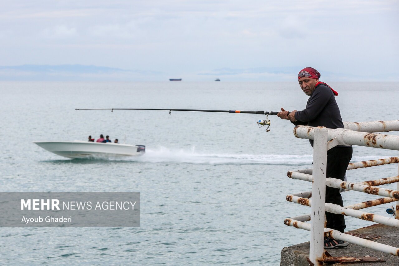 تصاویر: اولین باران زمستانی و طراوت بهاری کیش