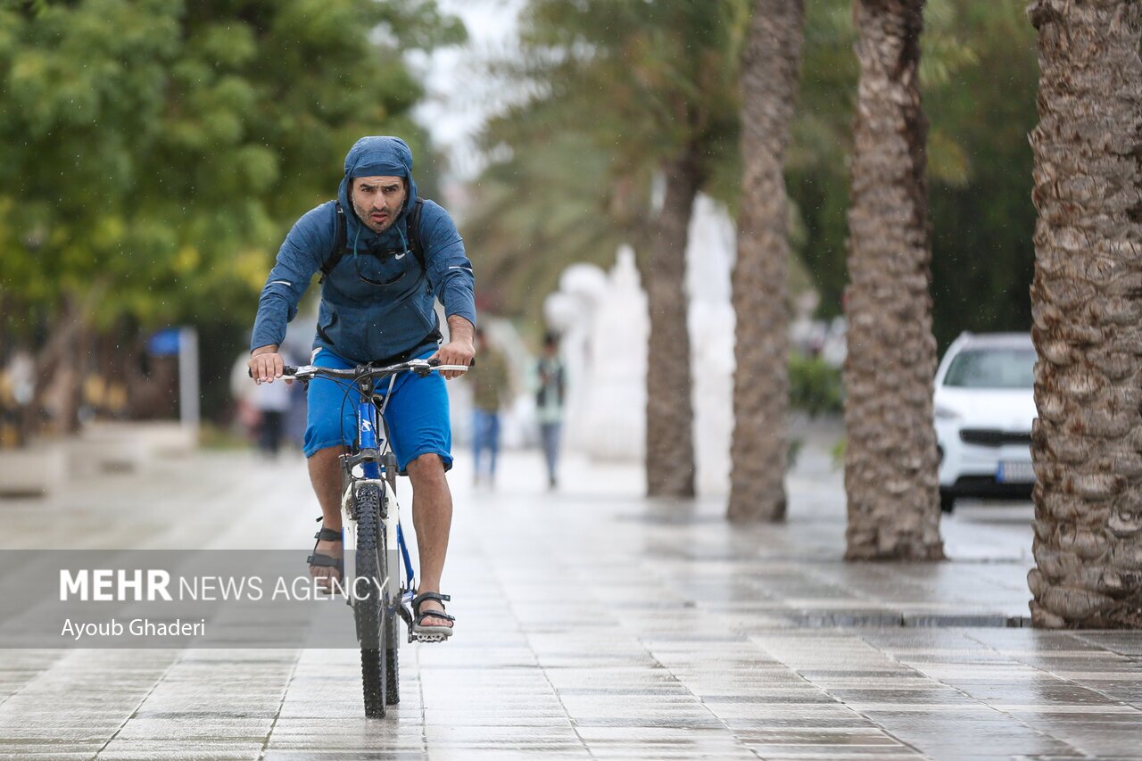 تصاویر: اولین باران زمستانی و طراوت بهاری کیش