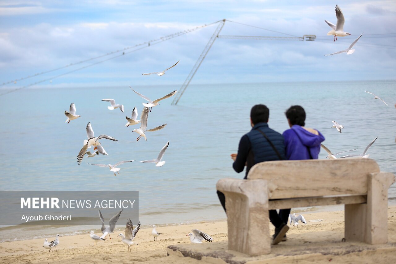 تصاویر: اولین باران زمستانی و طراوت بهاری کیش