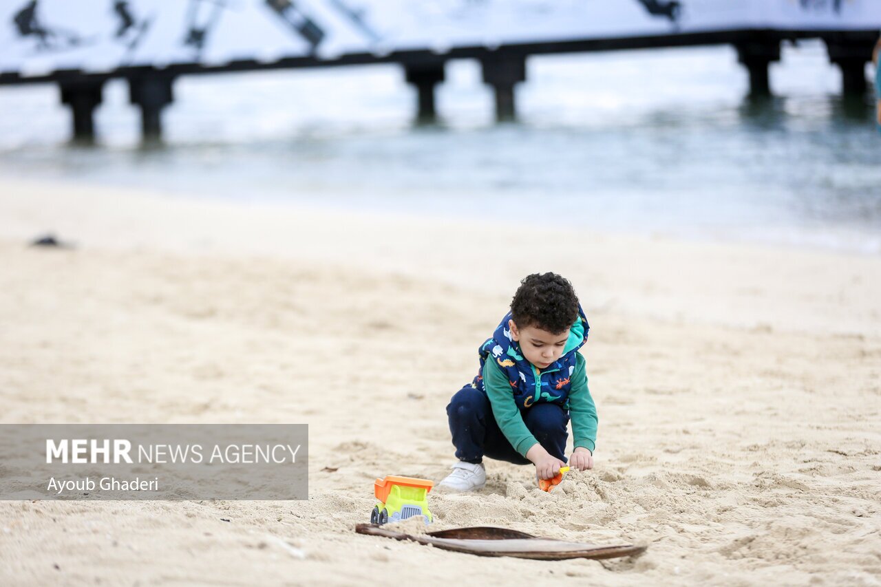 تصاویر: اولین باران زمستانی و طراوت بهاری کیش