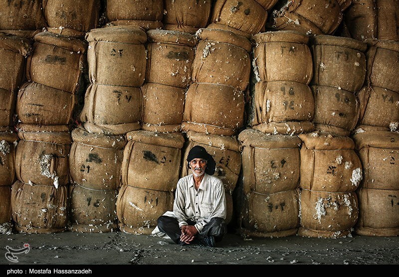 تصاویر: کارخانه پنبه پاک کنی در گلستان