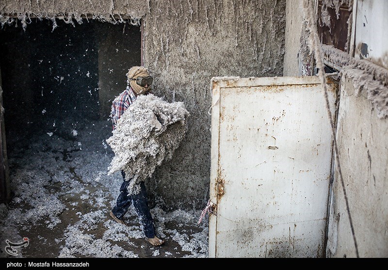تصاویر: کارخانه پنبه پاک کنی در گلستان
