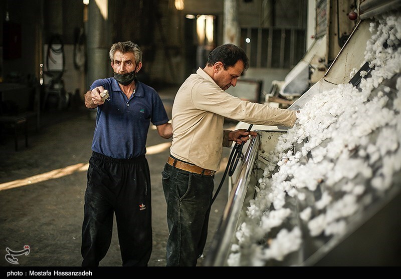 تصاویر: کارخانه پنبه پاک کنی در گلستان
