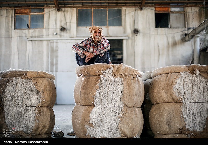 تصاویر: کارخانه پنبه پاک کنی در گلستان