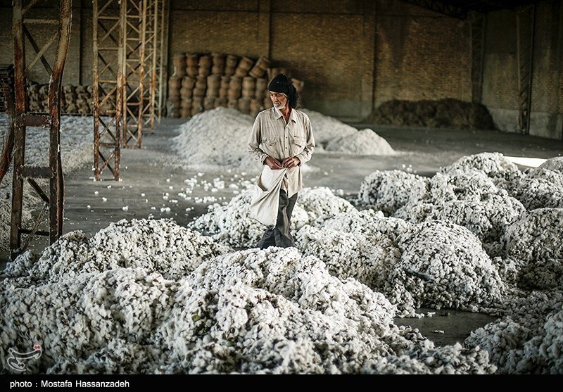 تصاویر: کارخانه پنبه پاک کنی در گلستان