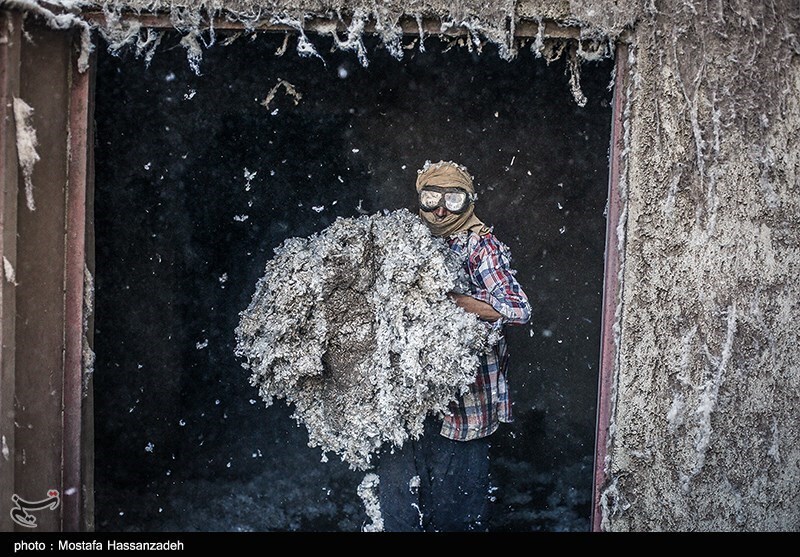 تصاویر: کارخانه پنبه پاک کنی در گلستان