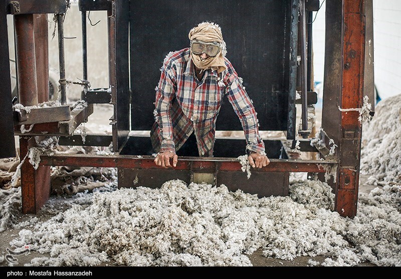 تصاویر: کارخانه پنبه پاک کنی در گلستان