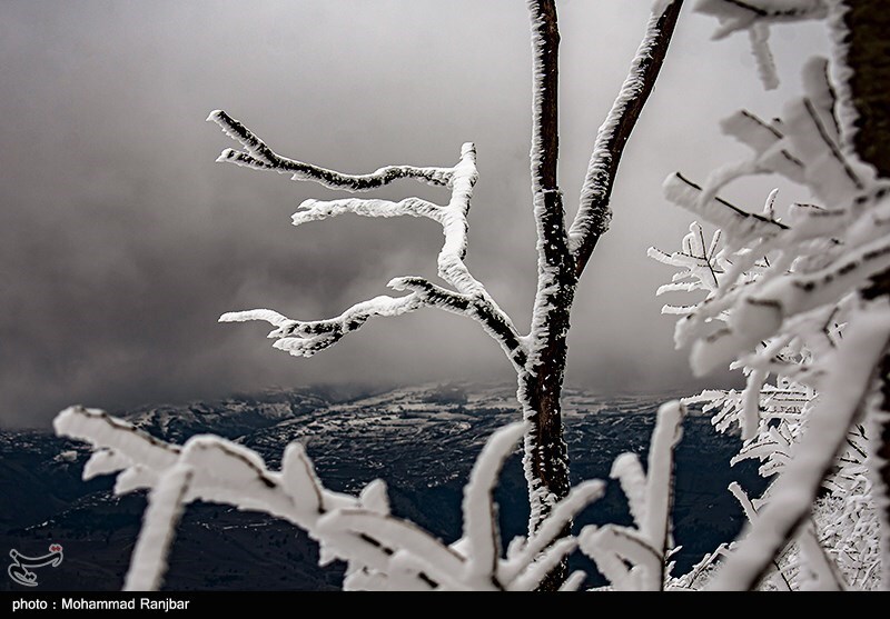 تصاویر: طبیعت برفی گیلان