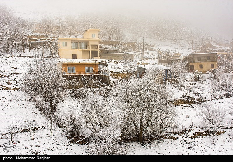 تصاویر: طبیعت برفی گیلان