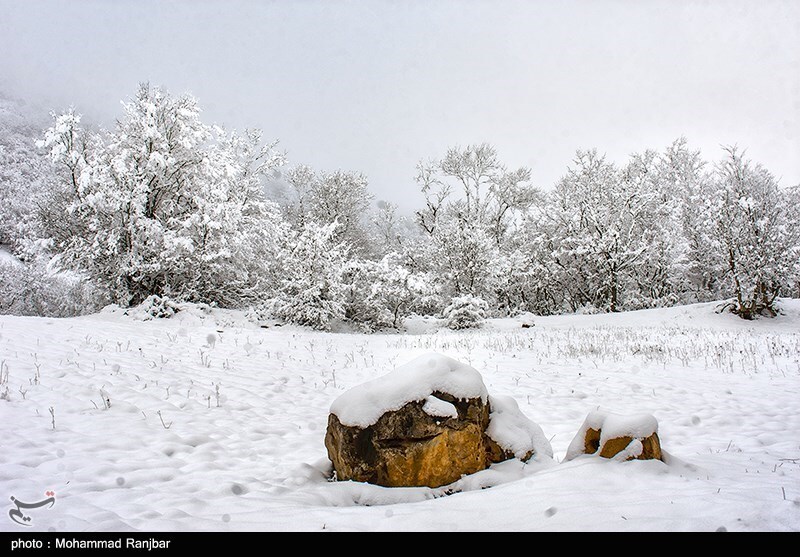 تصاویر: طبیعت برفی گیلان