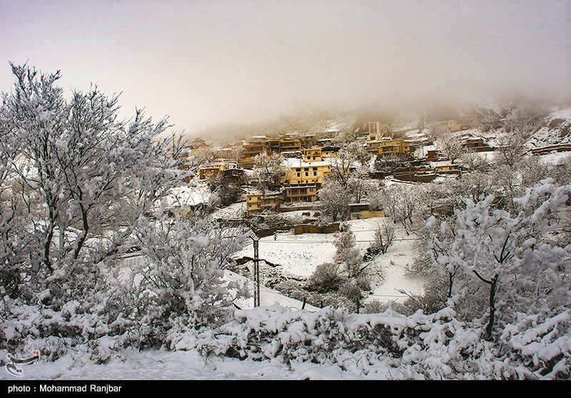 تصاویر: طبیعت برفی گیلان
