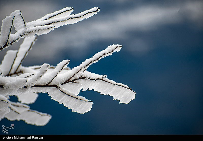 تصاویر: طبیعت برفی گیلان