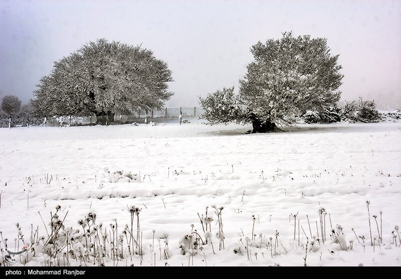 تصاویر: طبیعت برفی گیلان
