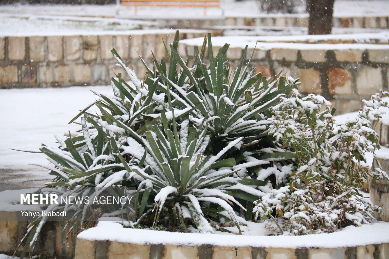 تصاویر: بارش نخستین برف زمستانی در کرمانشاه