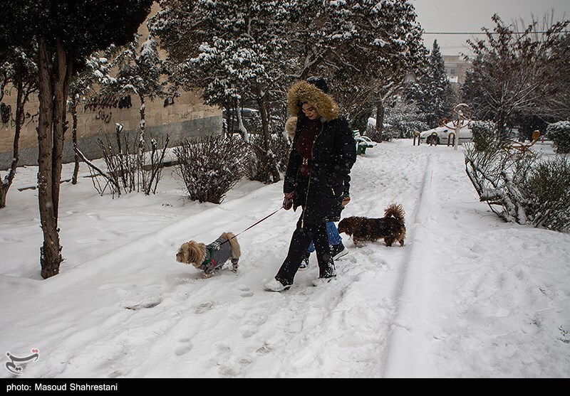 تصاویر: تهران برفی