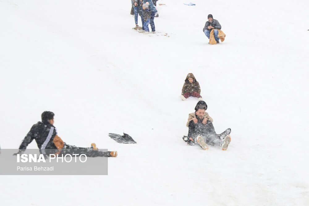 تصاویر: تفریح برفی در دره گردو اراک
