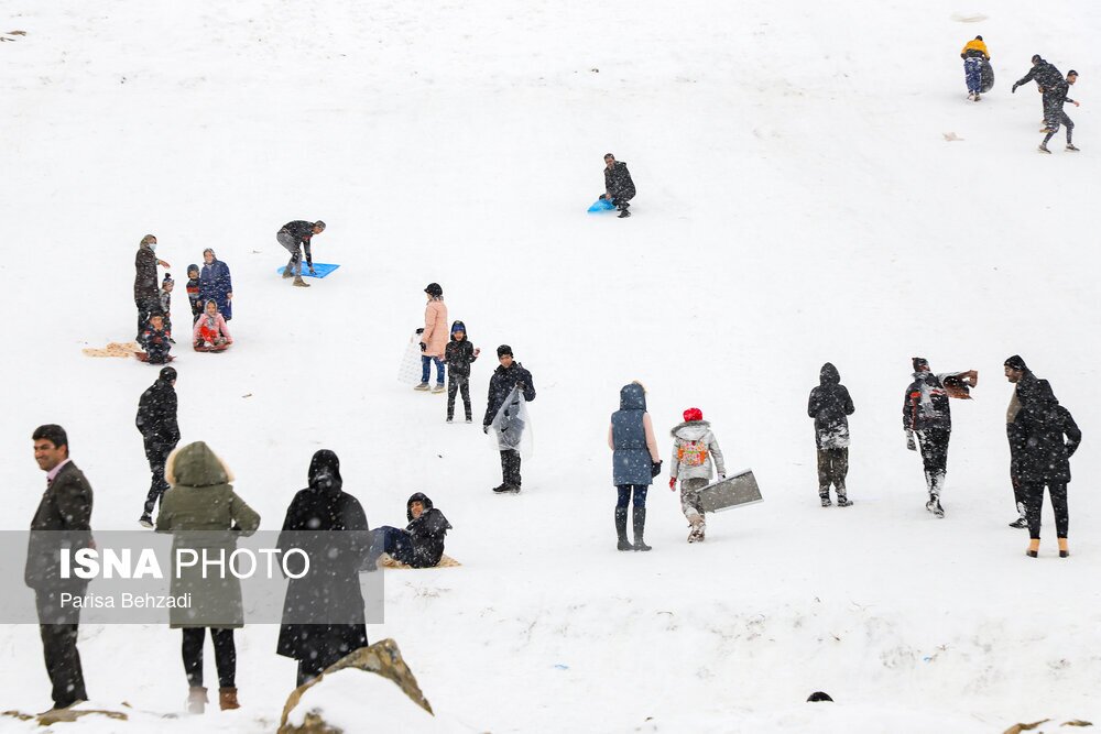 تصاویر: تفریح برفی در دره گردو اراک