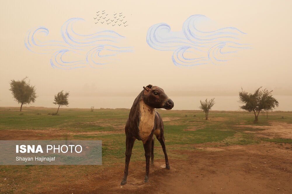تصاویر: