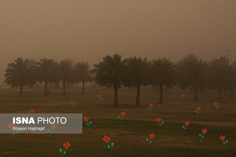 تصاویر:
