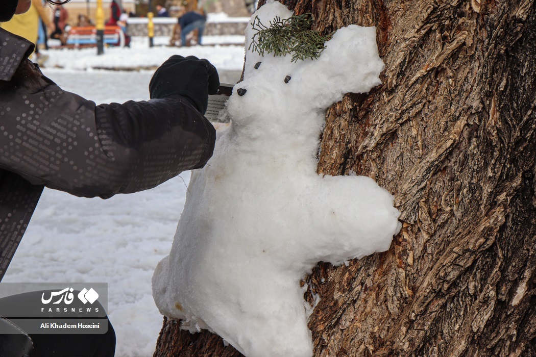 تصاویر: جشنواره «آدم برفی» در آباده