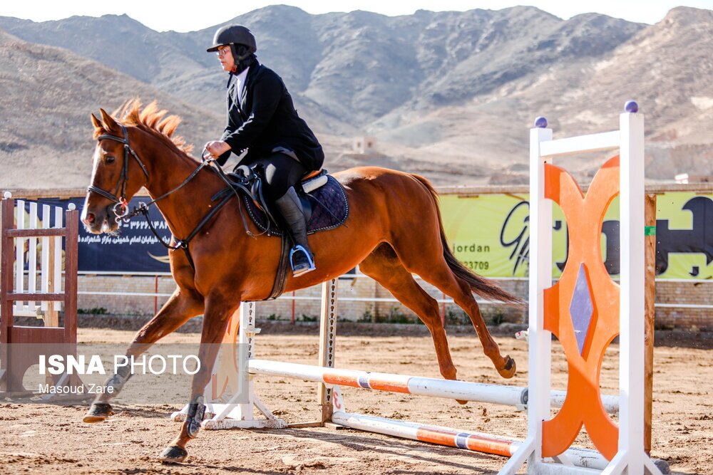 تصاویر: مسابقات پرش با اسب - یزد