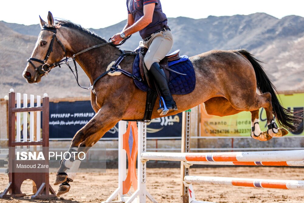 تصاویر: مسابقات پرش با اسب - یزد