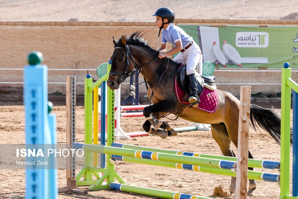 تصاویر: مسابقات پرش با اسب - یزد