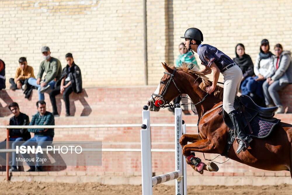 تصاویر: مسابقات پرش با اسب - یزد