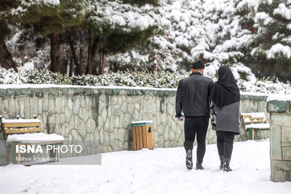 تصاویر: نخستین برف زمستانی تهران