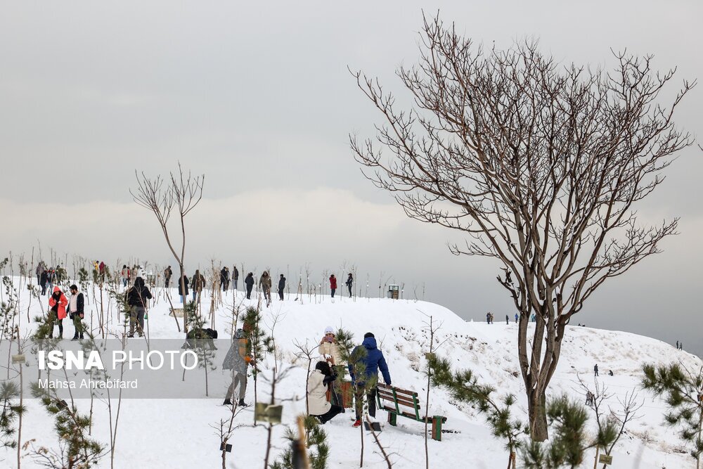 تصاویر: نخستین برف زمستانی تهران