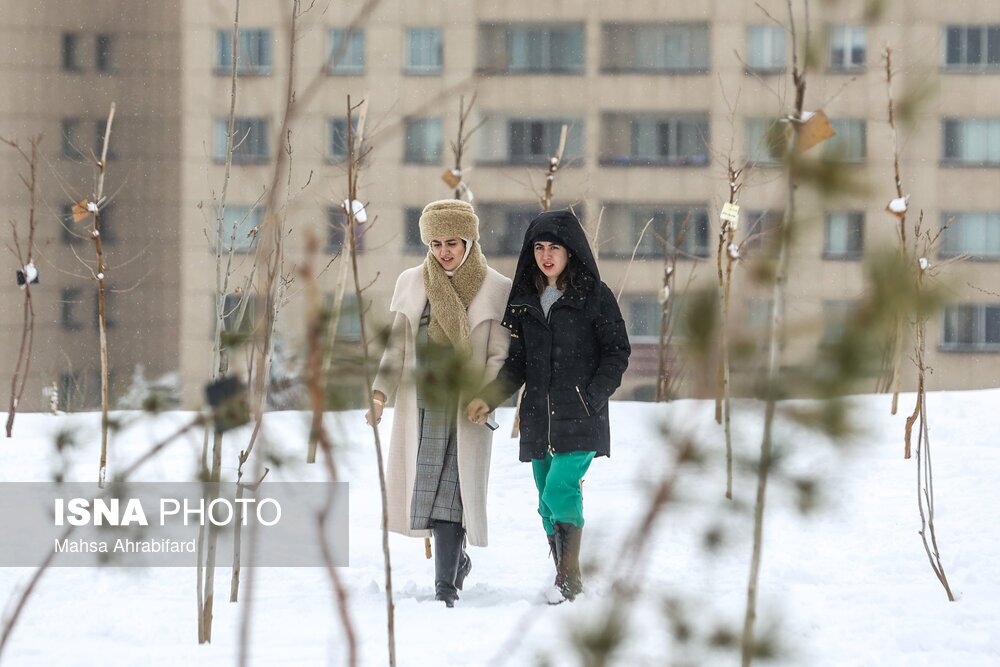 تصاویر: نخستین برف زمستانی تهران