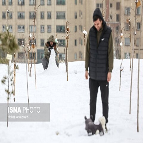 تصاویر: نخستین برف زمستانی تهران