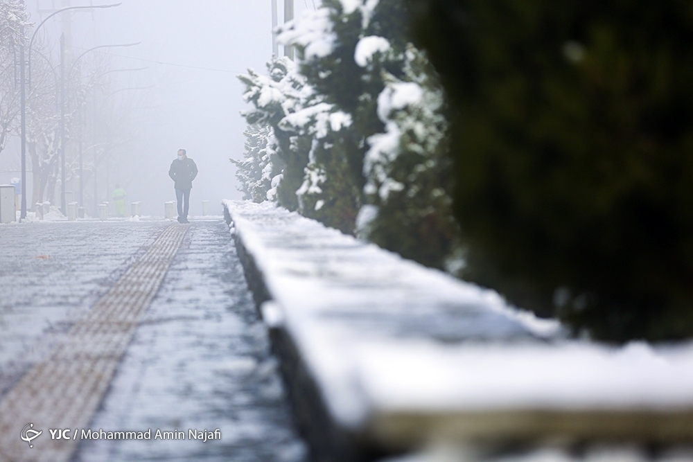 تصاویر: هوای مه آلود یک روز زمستانی در همدان