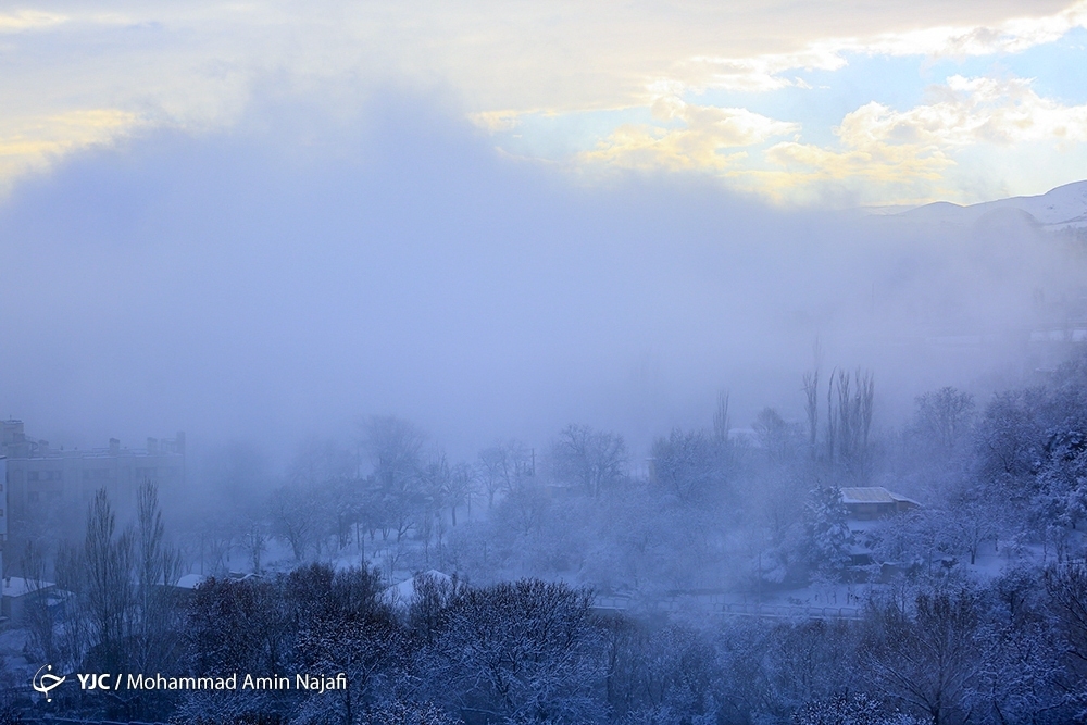تصاویر: هوای مه آلود یک روز زمستانی در همدان