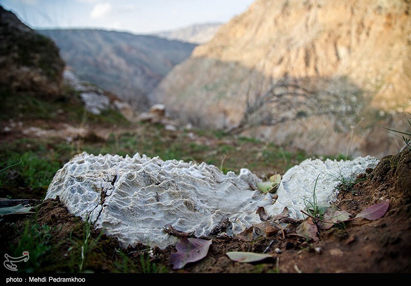 تصاویر: خوزستان بر لبه تیغ چم‌شیر