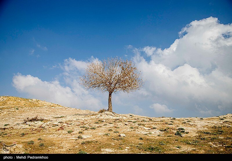 تصاویر: خوزستان بر لبه تیغ چم‌شیر