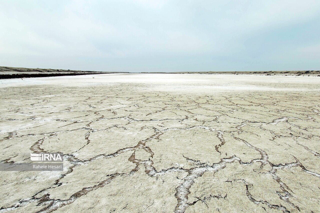 تصاویر: ظهور جزایر نمکی در گمیشان