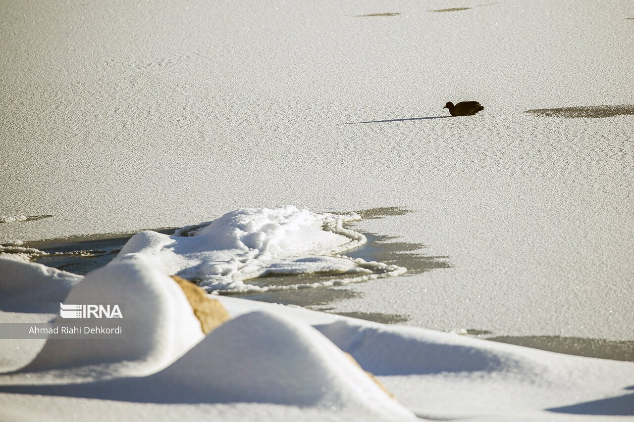 تصاویر: منجمد شدن تالاب چغاخور