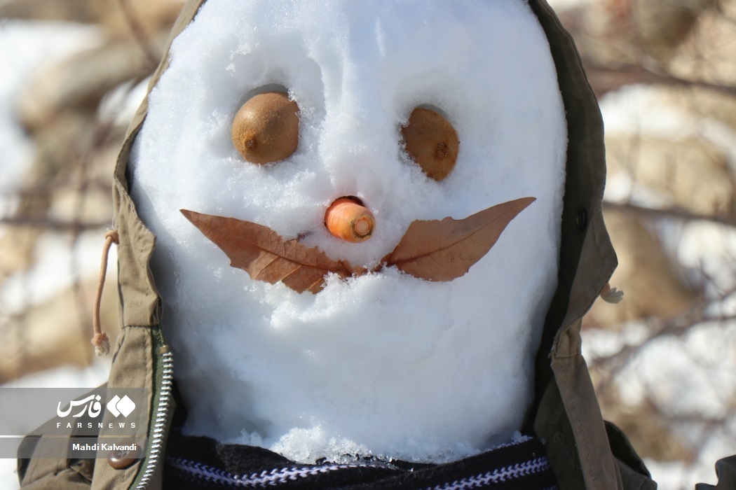 تصاویر: جشنواره آدم برفی در همدان