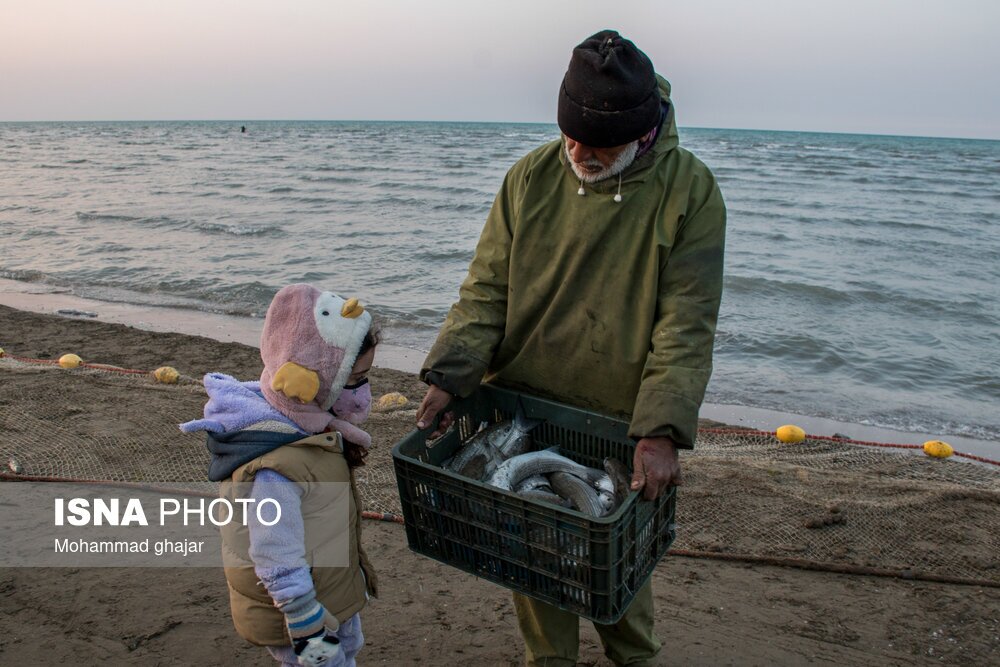 تصاویر: صید ماهی در سواحل شرقی دریای خزر