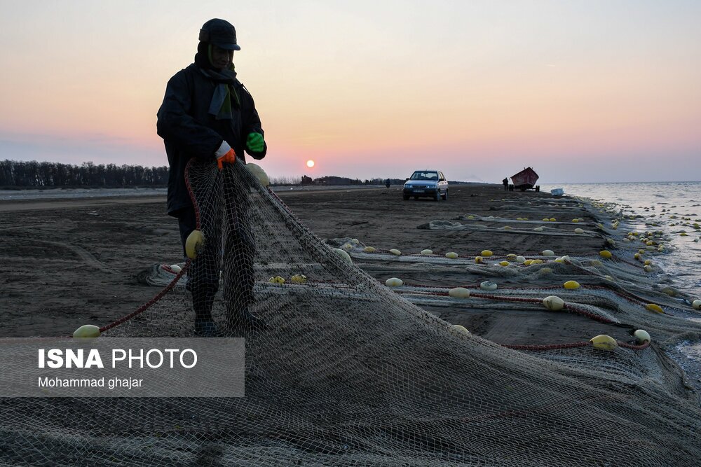 تصاویر: صید ماهی در سواحل شرقی دریای خزر