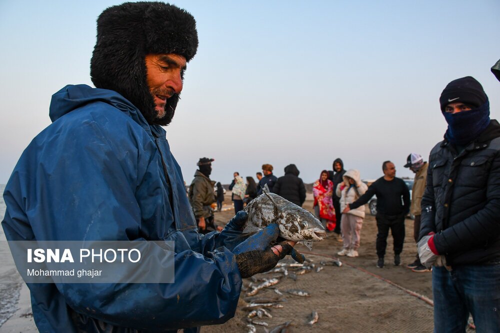 تصاویر: صید ماهی در سواحل شرقی دریای خزر