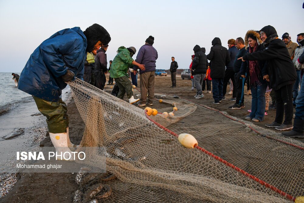 تصاویر: صید ماهی در سواحل شرقی دریای خزر