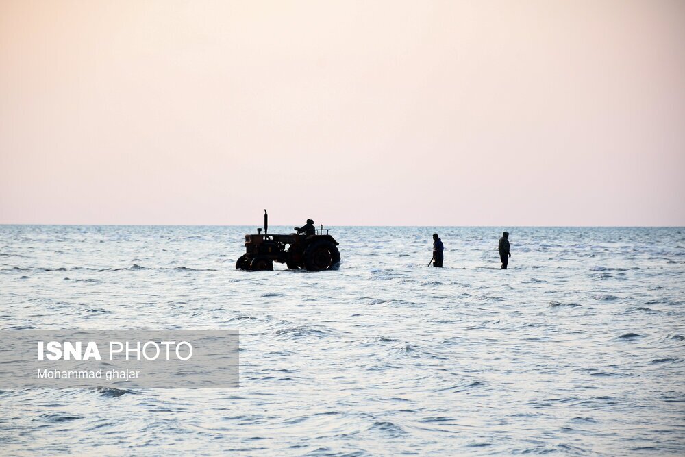 تصاویر: صید ماهی در سواحل شرقی دریای خزر