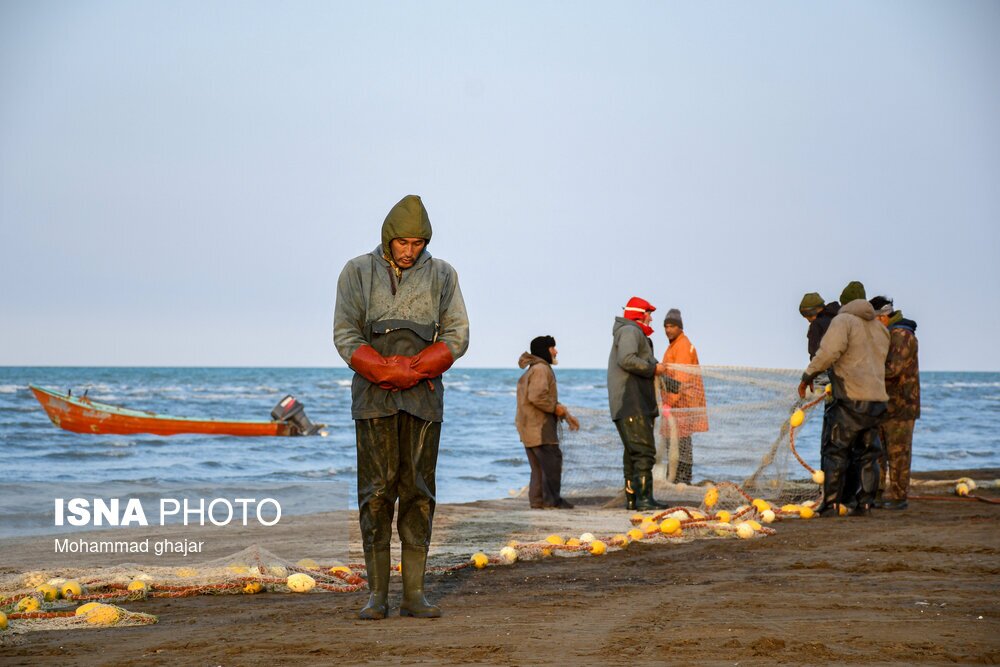 تصاویر: صید ماهی در سواحل شرقی دریای خزر