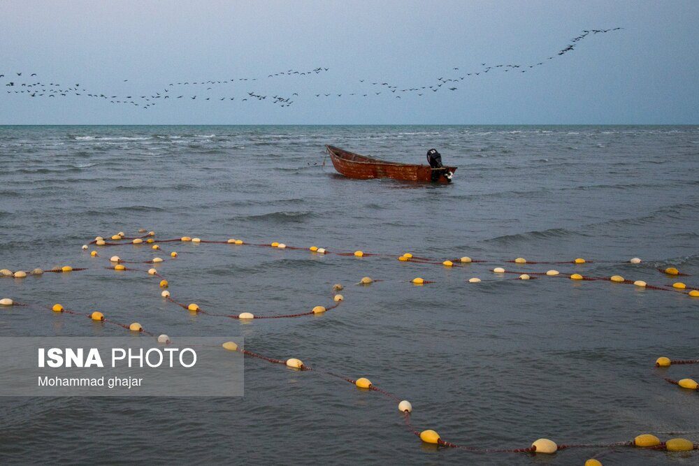 تصاویر: صید ماهی در سواحل شرقی دریای خزر