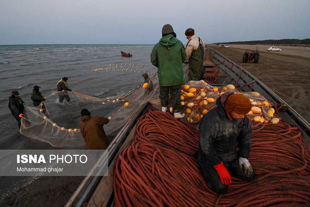 تصاویر: صید ماهی در سواحل شرقی دریای خزر