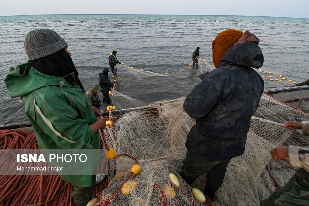تصاویر: صید ماهی در سواحل شرقی دریای خزر