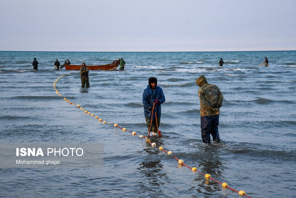 تصاویر: صید ماهی در سواحل شرقی دریای خزر